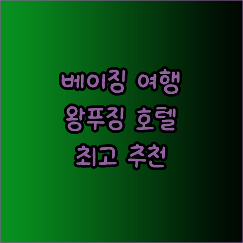 베이징 여행 최고의 선택은? 왕푸징