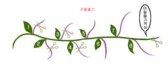 순지르기 기초 측지유도 키작게유지 공간효율 관리 팁_8