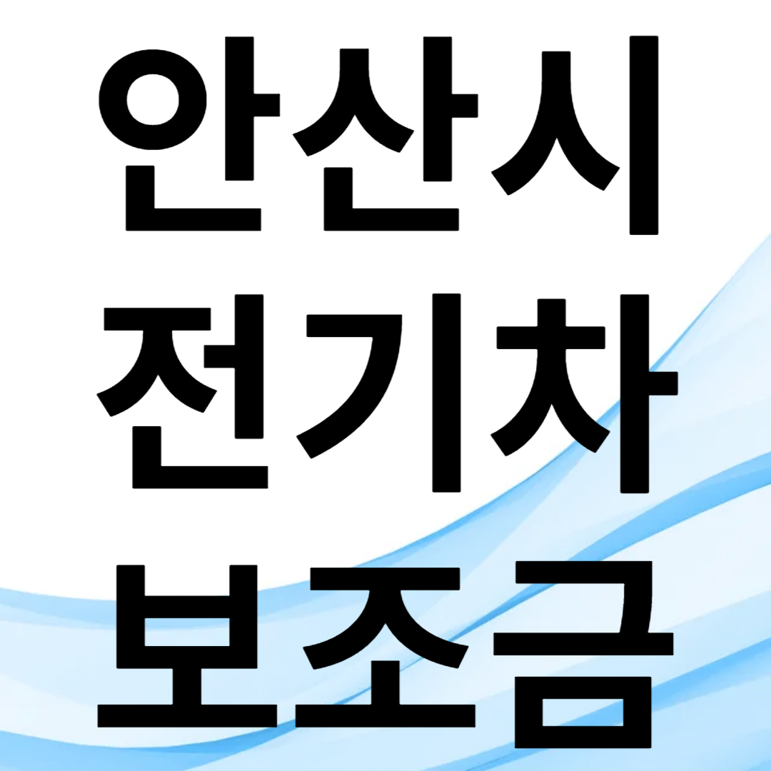 안성시 전기차 보조금