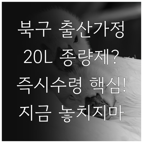 2025 북구 출산가정 20L 종량제..