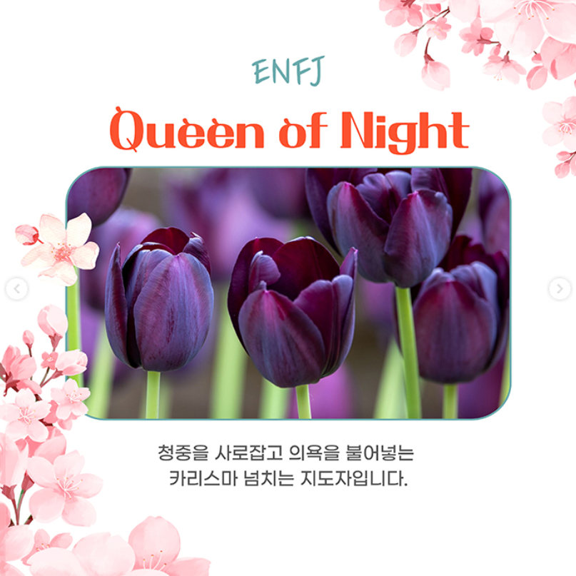 태안 세계튤립꽃박람회 입장료