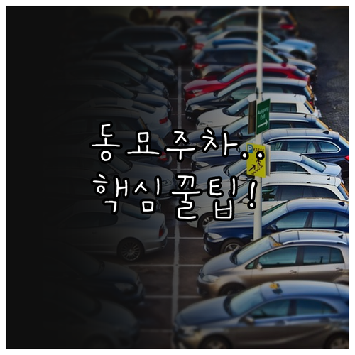 동묘 벼룩시장 방문 시 꼭 알아야 할..