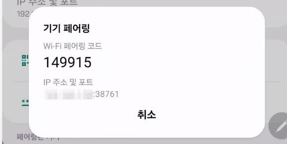 IP 주소 및 페어링 코드