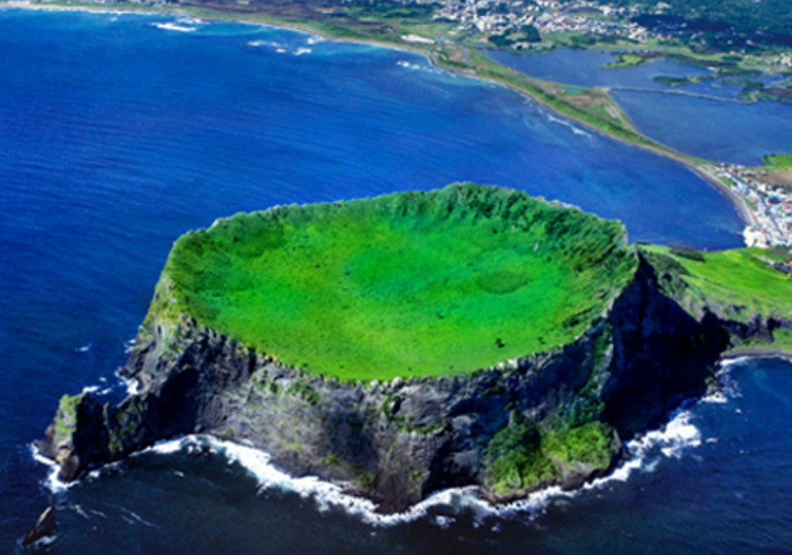 4월 제주도 유채꽃