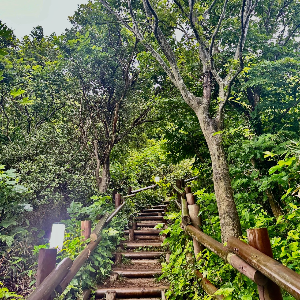 내수전일출전망대