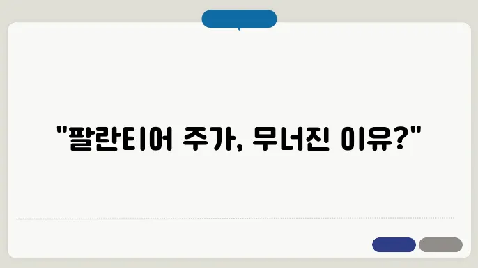 팔란티어 주주 급락의 원인 분석과 향후 전망