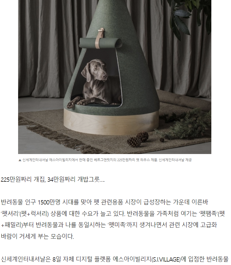 애견 사업 관련 뉴스 기사