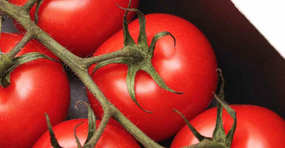 혈액순환에 좋은 음식