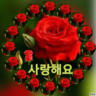 계절 인사말 모음 예시 문자_16