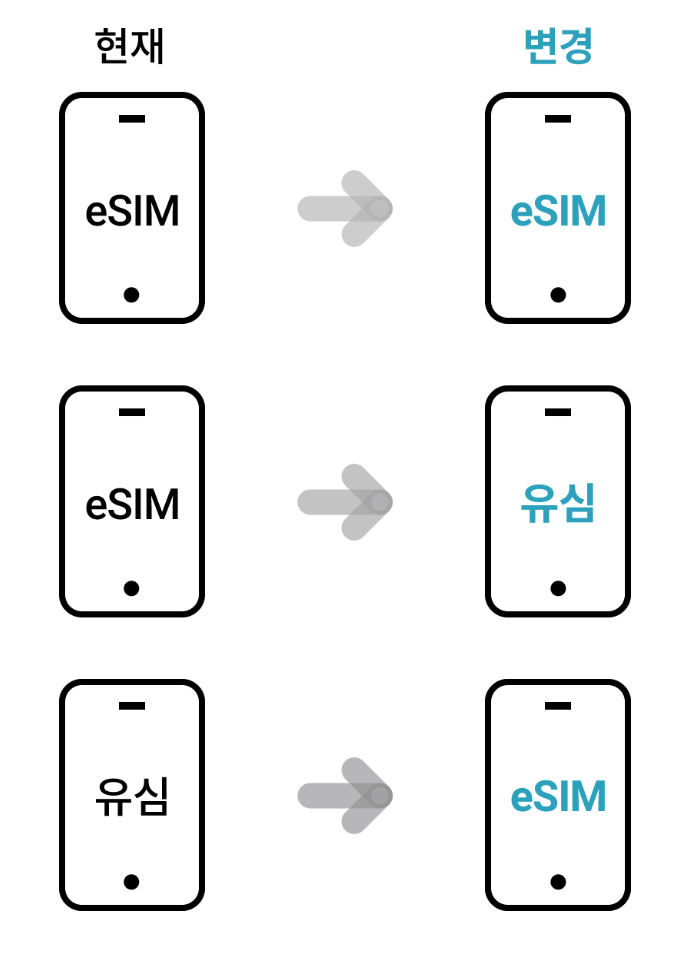 usim에서 esim 변경