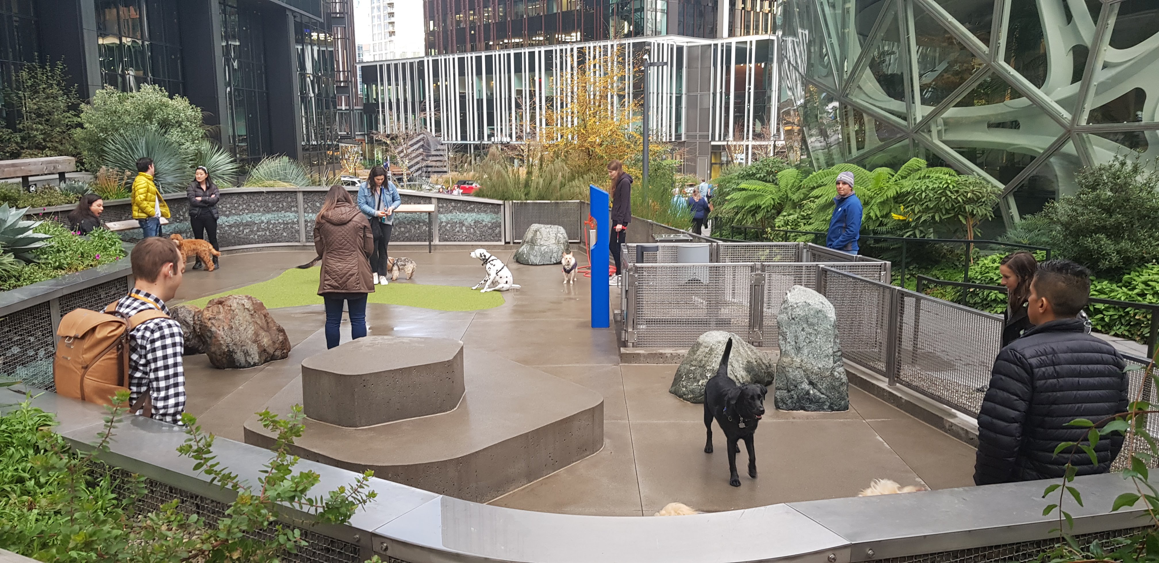 The Spheres 이미지