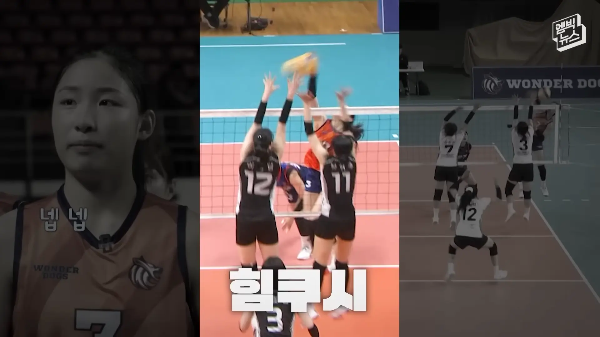 인쿠시 정관장 레드스파크스 입단