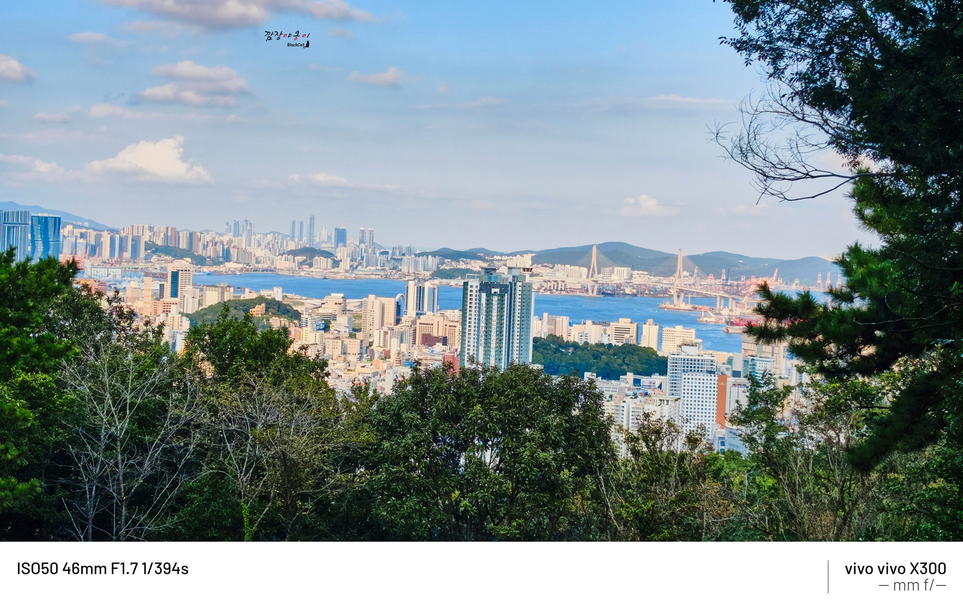 천마산 올라가는 길에서 바라본 부산 원도심 풍경