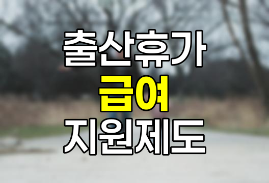 2025년 출산휴가 급여 제도 완벽 정리, 기간, 회사 부담, 대위신청 방법