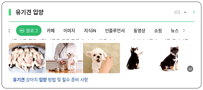 유기견 입양_1_subsection