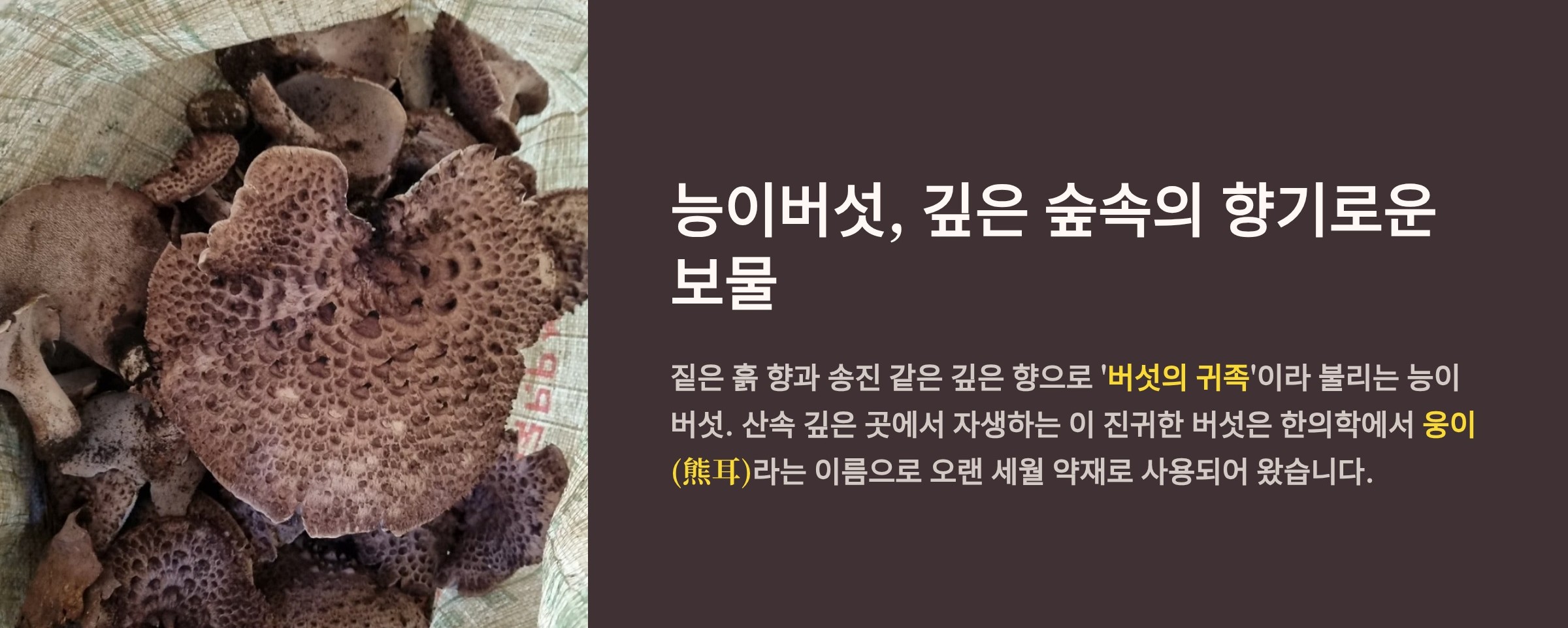 능이