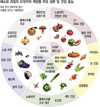 종합영양제 추천 베스트7