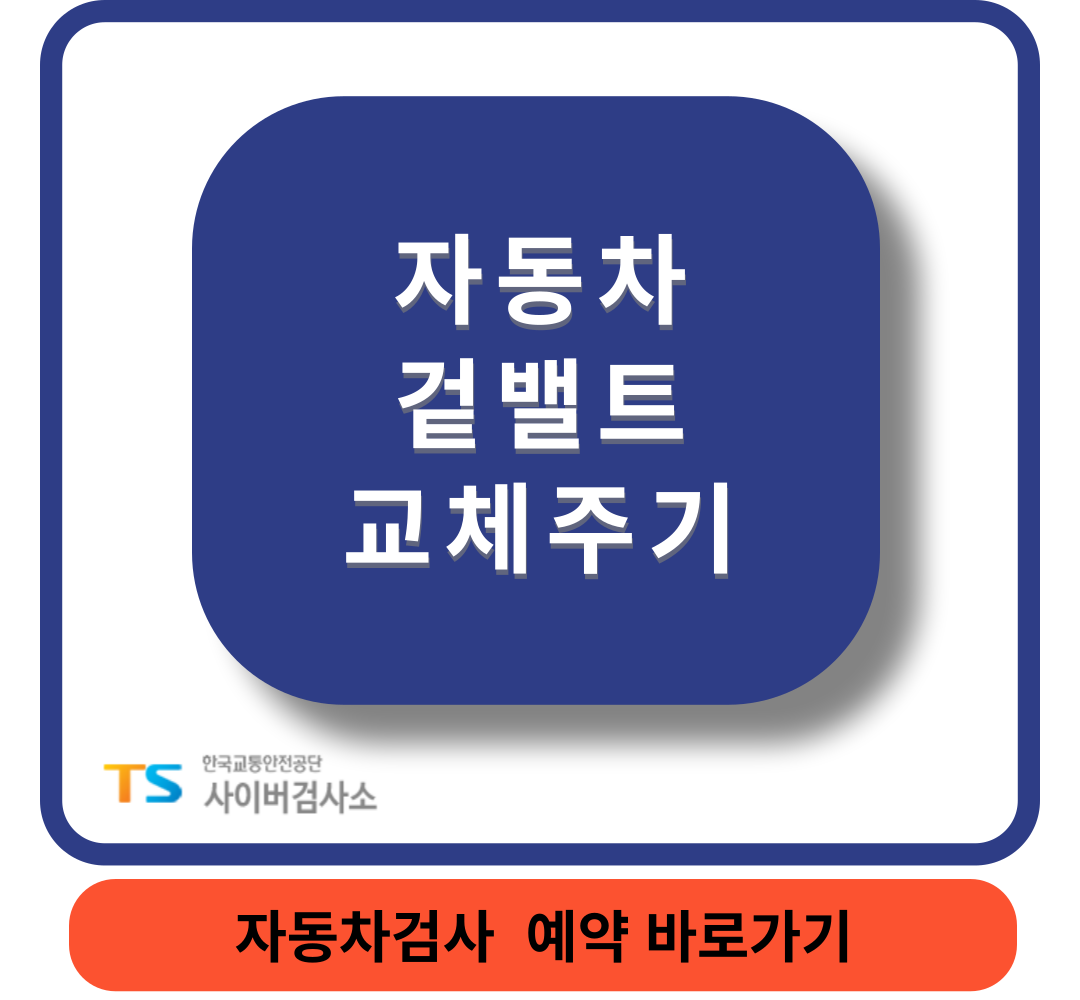 겉밸트교체주기썸네일