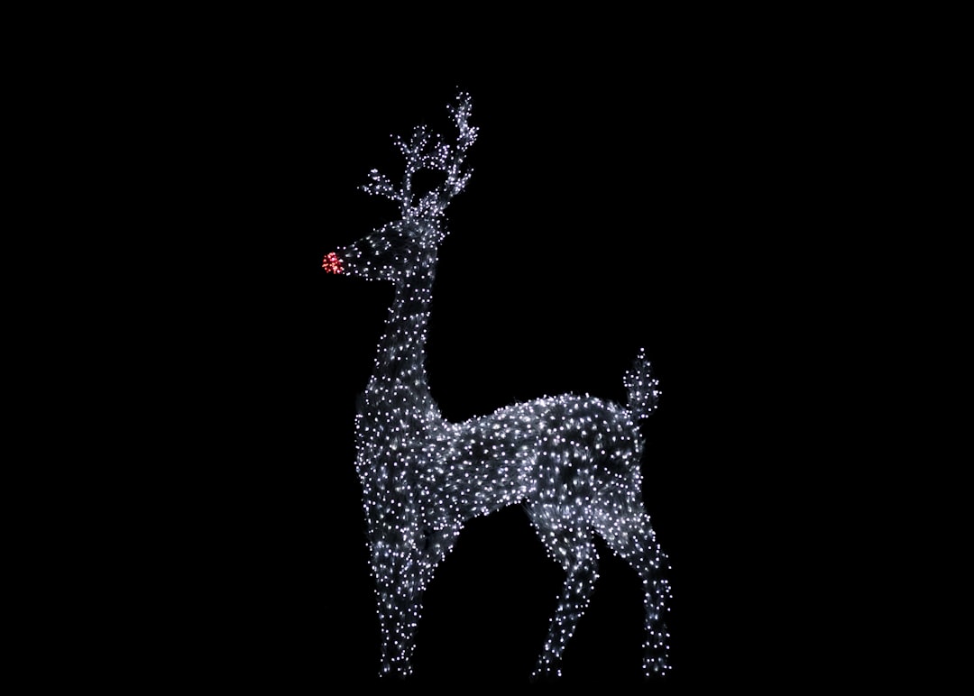 Decoration.