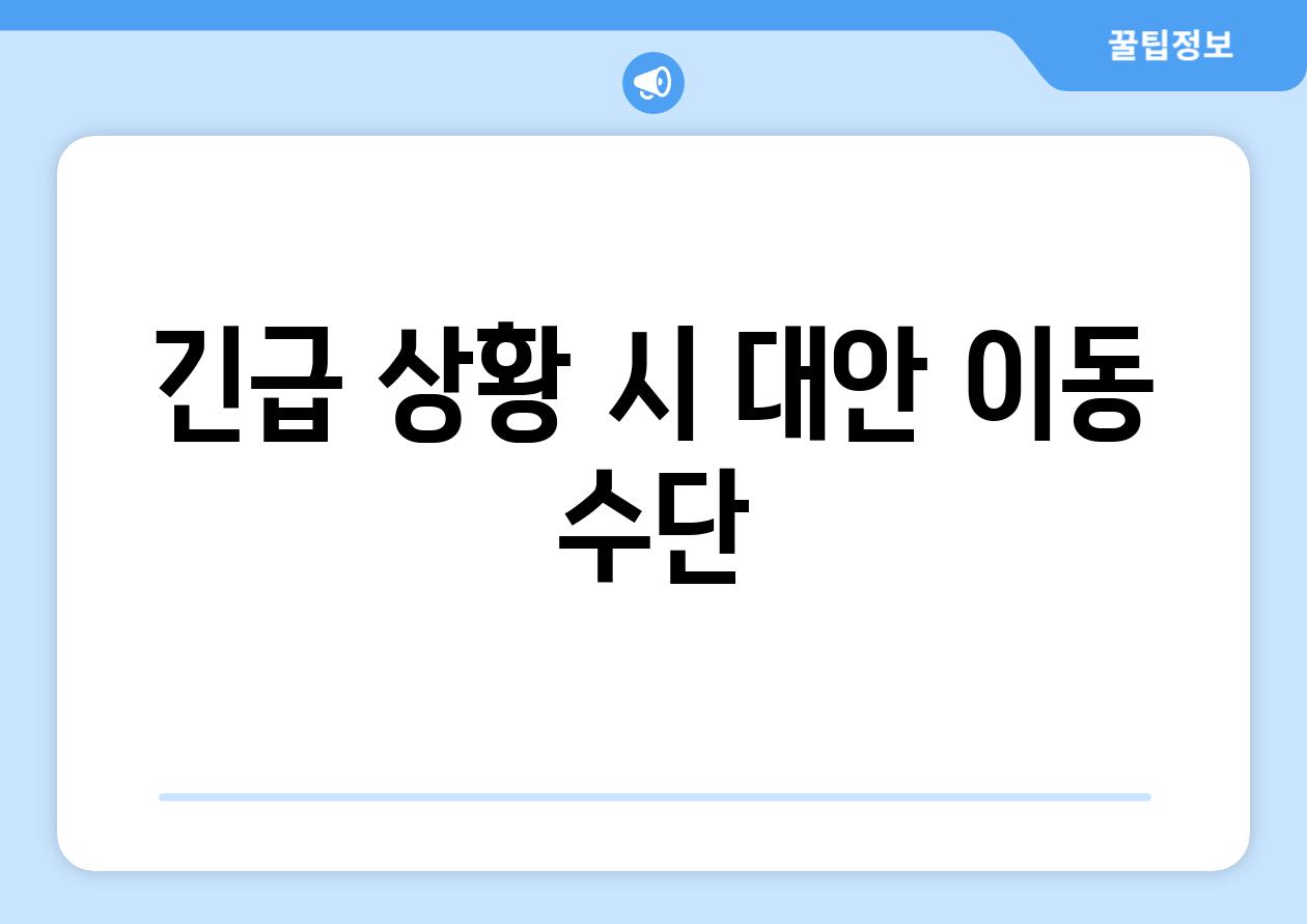 긴급 상황 시 대안 이동 수단