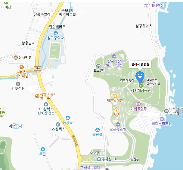 영덕대게축제장소