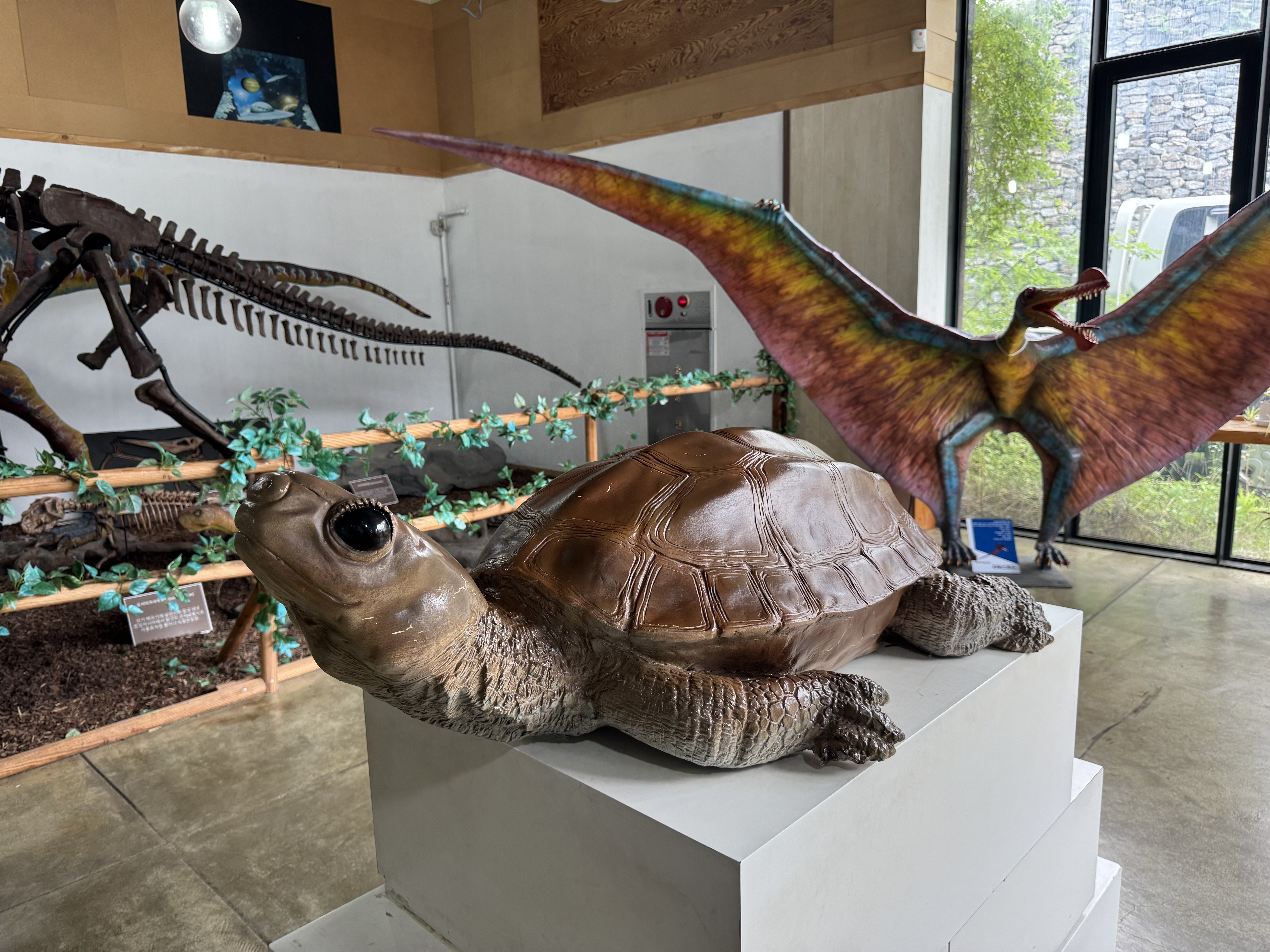 파주공룡박물관, 39개월 아기랑 다녀온 후기 – 아이와 첫 공룡 여행지로 딱!