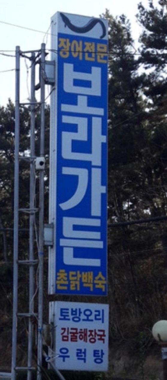 서천-옻닭-백숙-김굴해장국-태진아-장어-보라가든