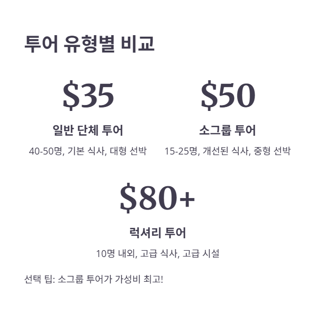 투어 상품별 가격 비교 (럭셔리 vs 가성비)