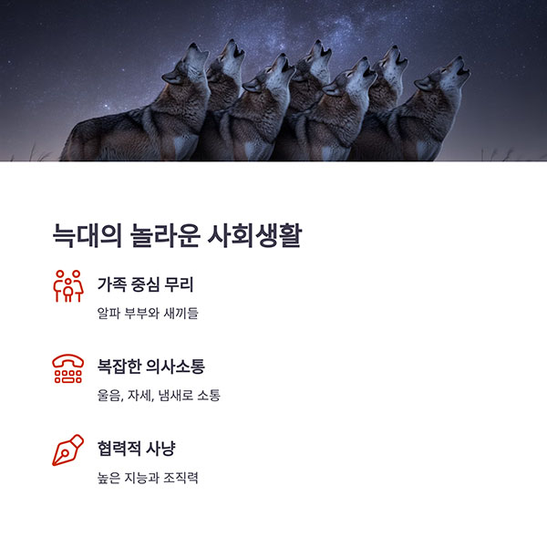 무리 생활과 행동 특성