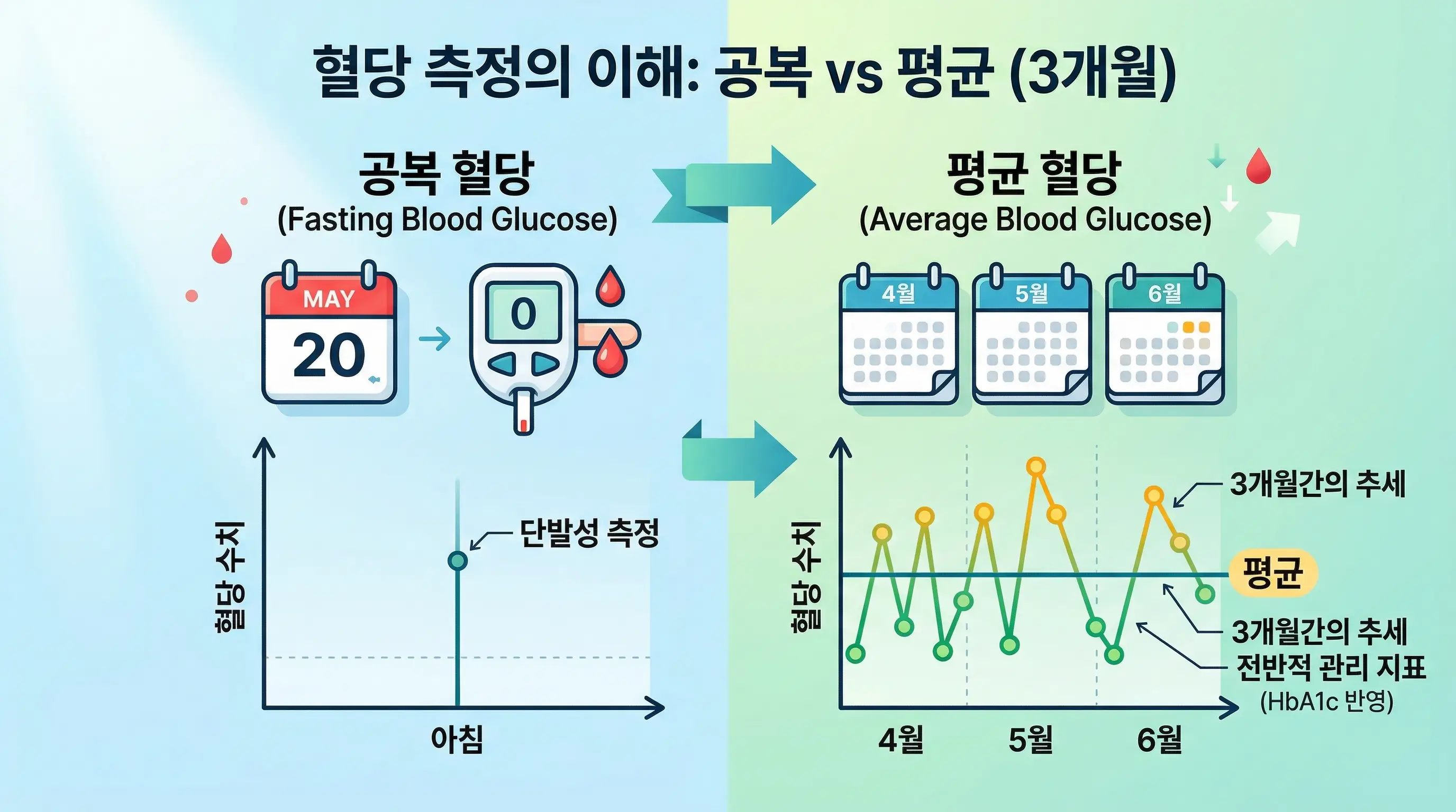 공복혈당과 당화혈색소 차이를 설명하는 그래프 이미지