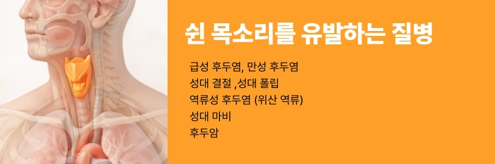 쉰 목소리 원인