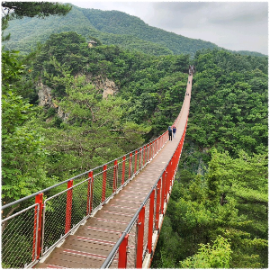 지리산피아골