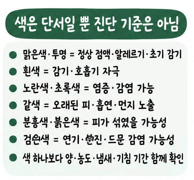 투명·흰색·노란색·초록색·갈색·분홍색·붉은색·검은색 가래가 나타날 때 흔히 생각할 수 있는 상태를 비교한 카드
