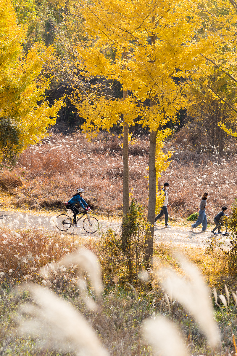 대구시 자전거 타기 좋은 추천 코스