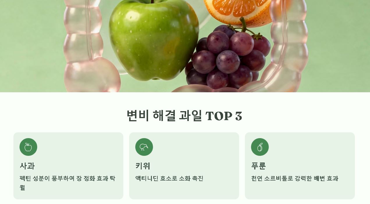 변비에 좋은 과일
