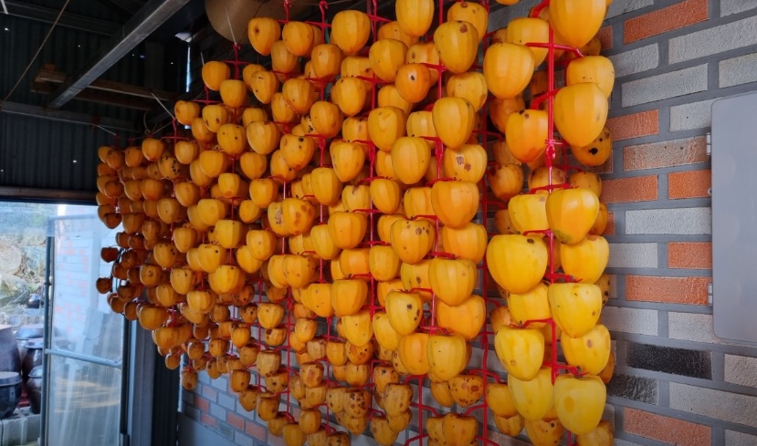 오늘N 이 맛에 산다 부안 부건농장 직거래 농산물 절임배추 고추가루 김장김치재료