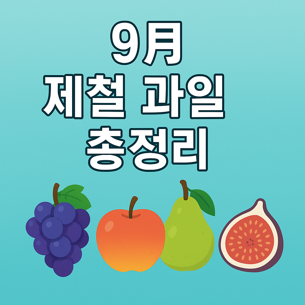 9월 제철 과일 총정리