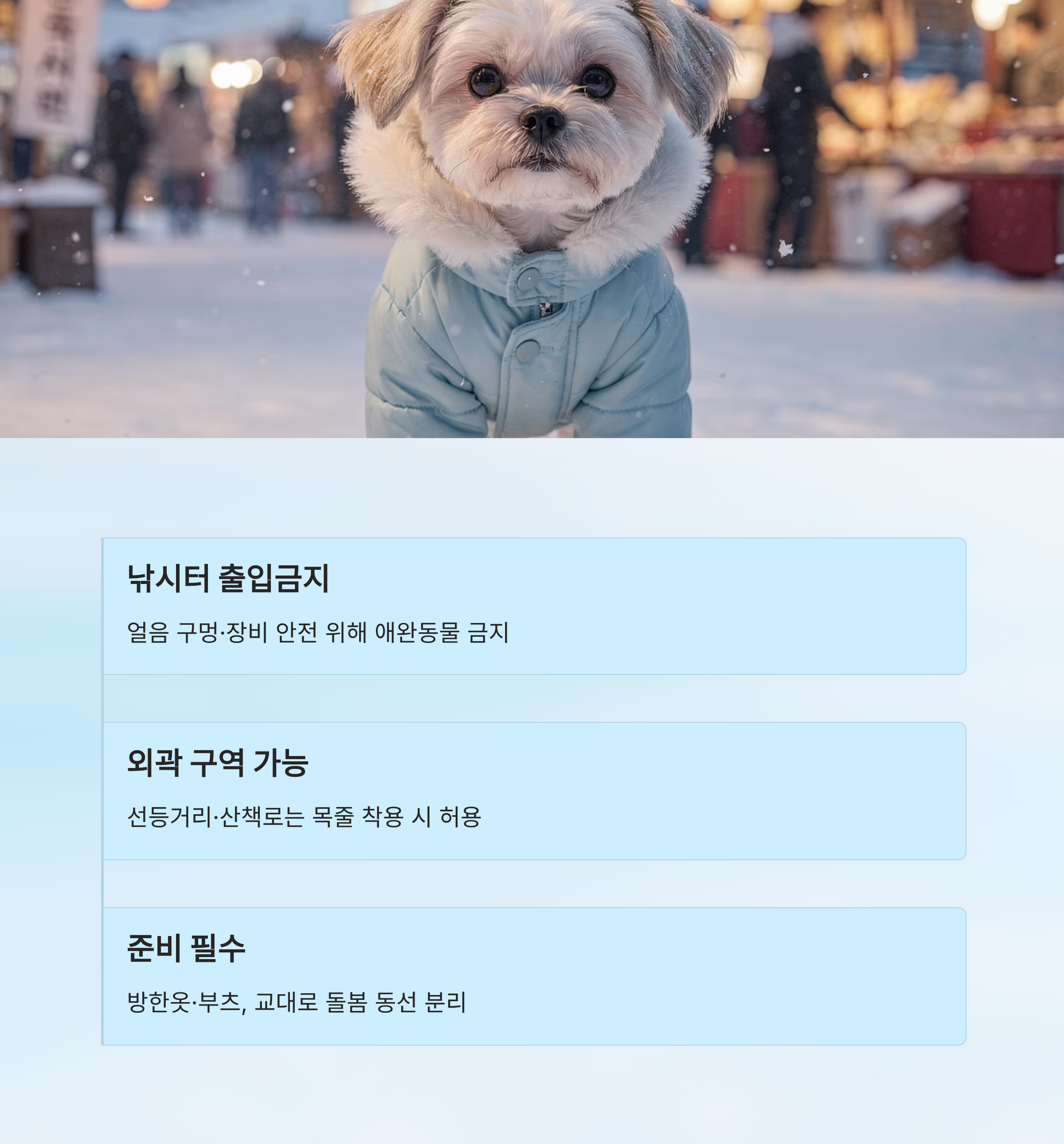 2026 화천 산천어 축제 완벽 가이드