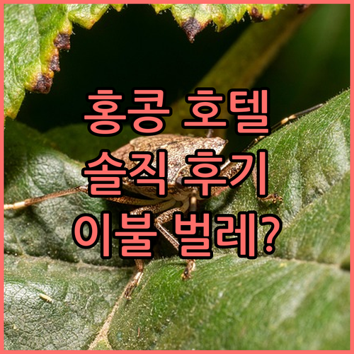 호텔 알렉산드라 홍콩, 4성급? 로비