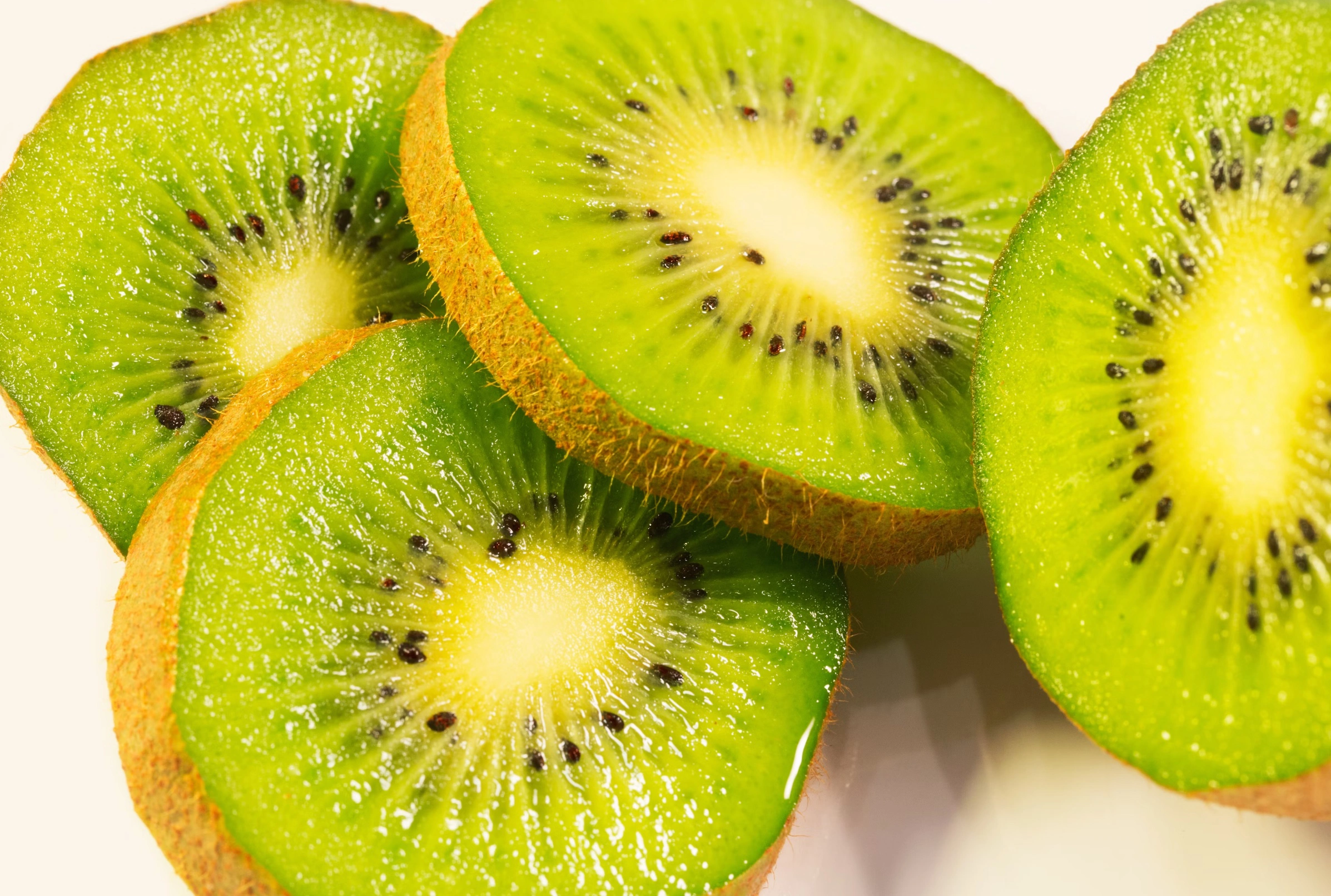 성장기 좋은 음식