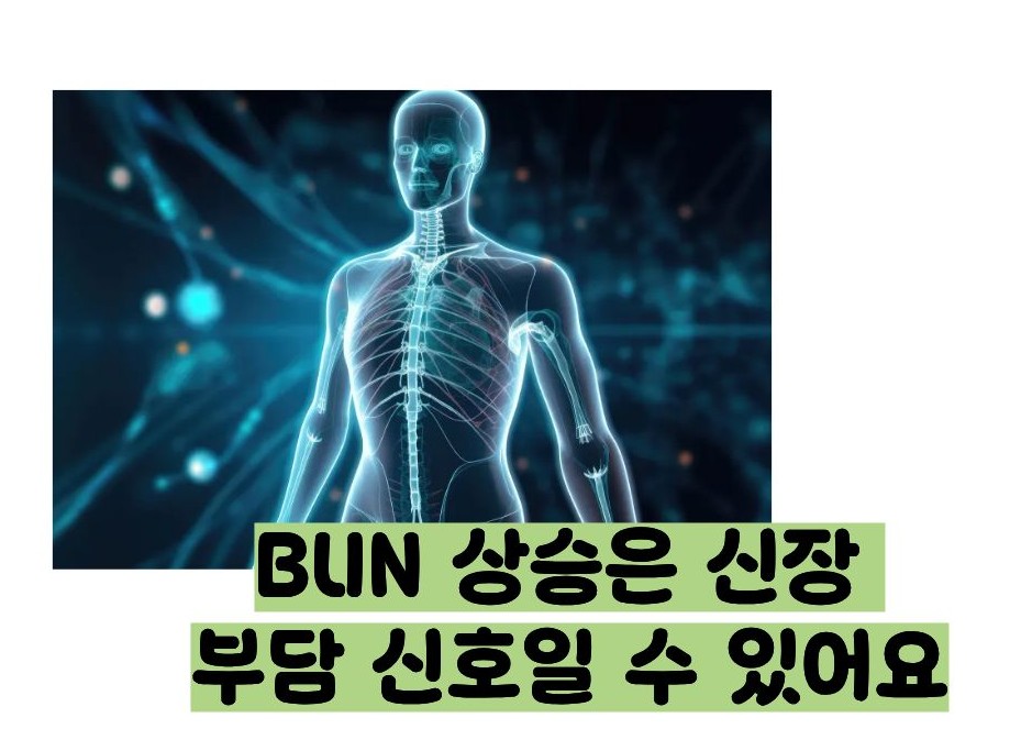 BUN 수치