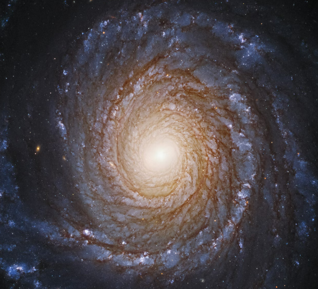 블랙홀은 정말 모든 것을 빨아들이는가?