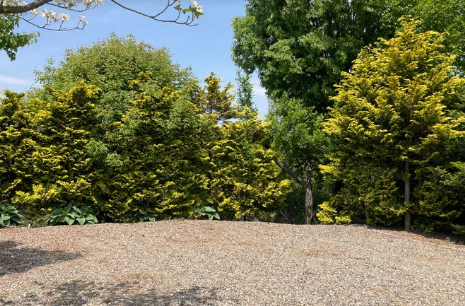 파이브이모션 캠핑장 A4