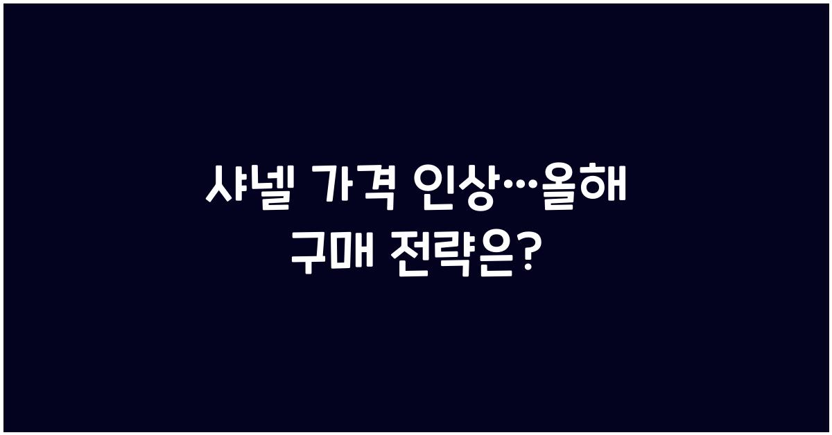 샤넬 가격 인상