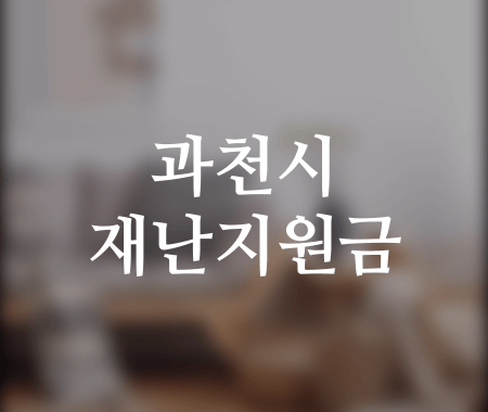 과천시 재난지원금
