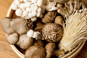 지방간에 좋은 음식14