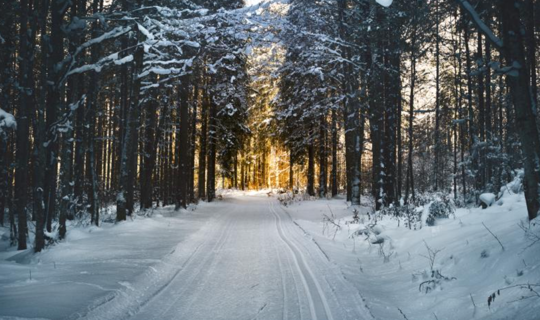 1월 28일 ~ 1월 30일 (구정 연휴)