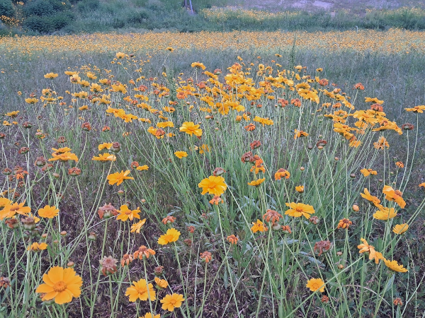 슬로우 트래블 큐레이터