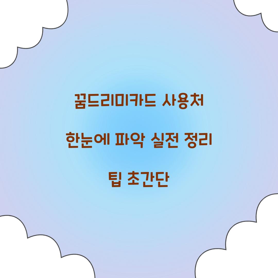꿈드리미카드 사용처