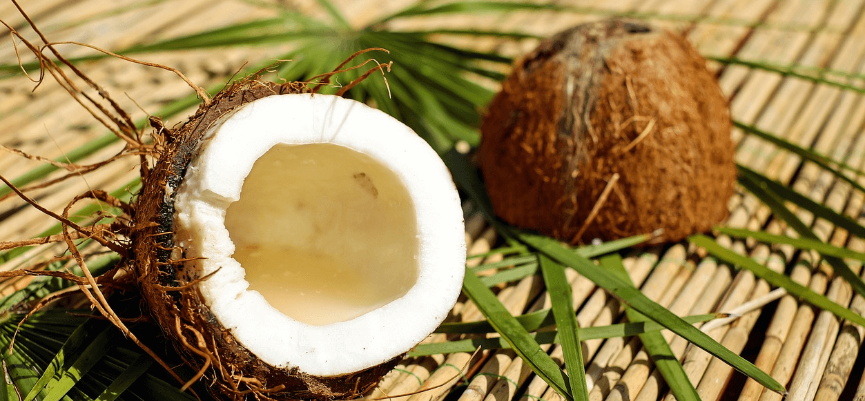 코코넛 사진 - 7